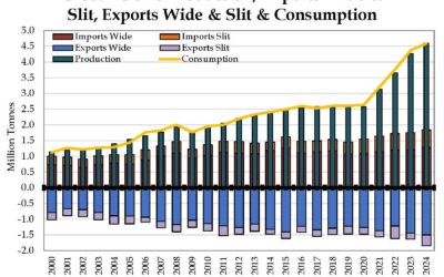 The Global GOES Market Topped 4.6 Million Metric Tonnes In 2024, 76% HigherThan Just Five Years Ago; Conversely, The USA GOES Market Has Dropped 11% Over The Past Six Years